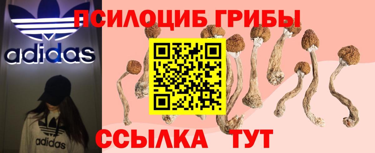 Калининград  Псилоцибиновые грибы Psilocybe  Псилоцибиновые грибы Cubensis  наркошоп  Вход с VPN 